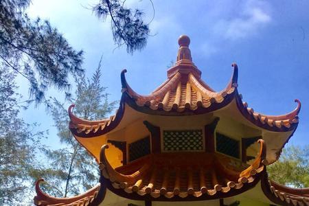 宋井桃源风景区要门票吗