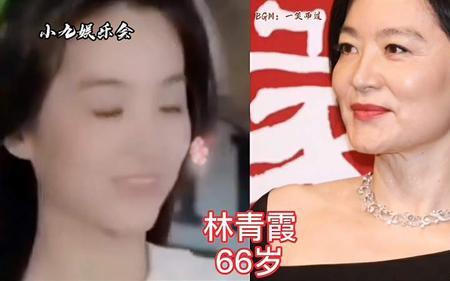 港圈洪姓女星