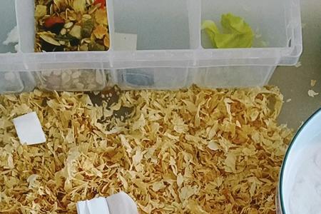花鸟市场里有卖仓鼠用品吗