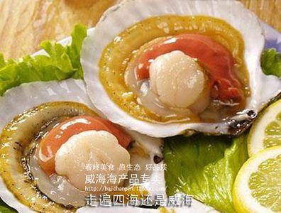 扇贝和干贝区别