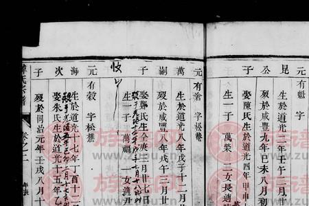 轸姓全国一共多少人