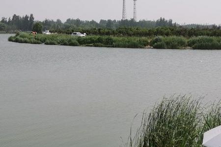 龙湖附近哪有免费钓鱼地方