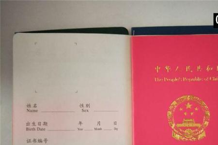 救生员证能挂吗