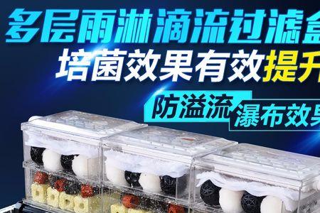 养杂鲷什么滤材好