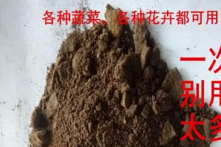 发酵的芝麻饼有蛆还能用吗