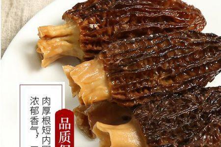 牛肚菇养殖方法
