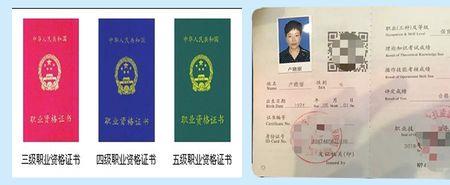 保育员证书含金量排名