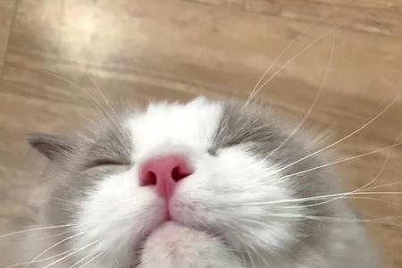 鱼在水里口渴了怎么办什么梗