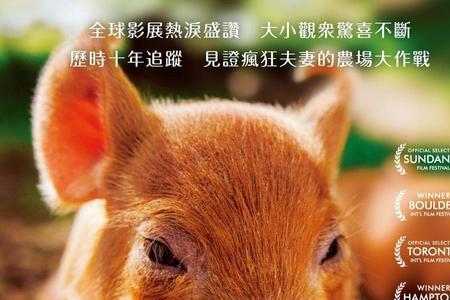 最大的小小农场片尾曲