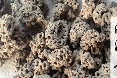 海石tt营业时间