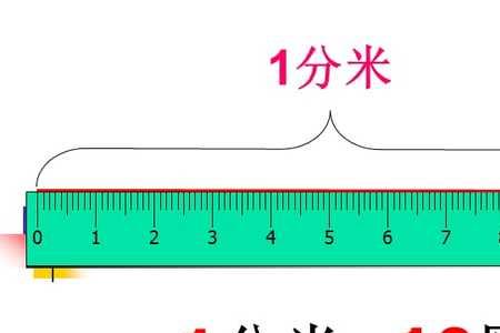 一分米标准长度