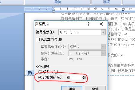 word编辑页面看不到