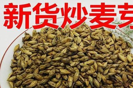 炒麦芽和焦麦芽一样吗