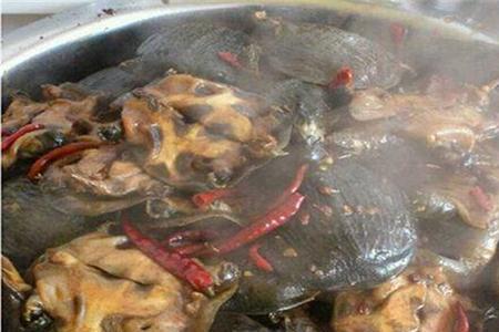 小黄甲鱼福州做法