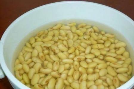 9月份还能闷酱豆子吗