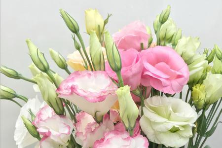 洋桔梗和百合花怎么插