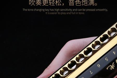 国光口琴国之梦怎么样