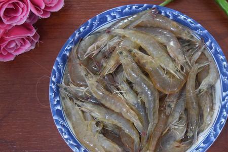 大虾为什么软绵绵的