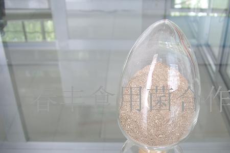 酱油曲精与酵母的区别
