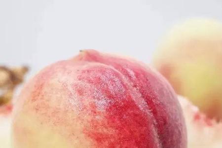八月红脆桃是哪里研发的