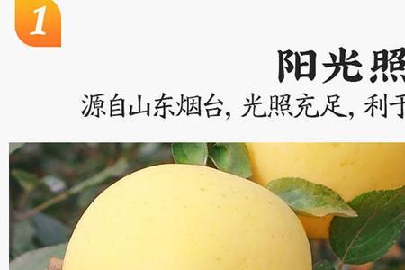 黄金帅苹果怎么很酸