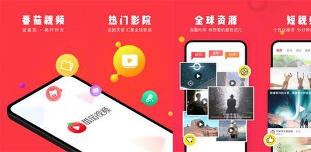 番茄视频是干什么的