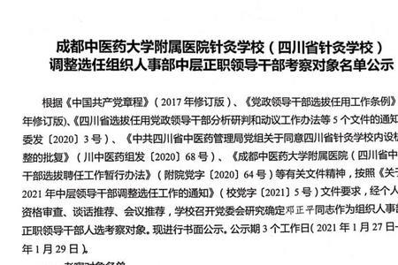 国企中层正职什么意思