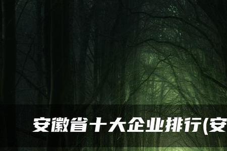 安徽十大产业排名