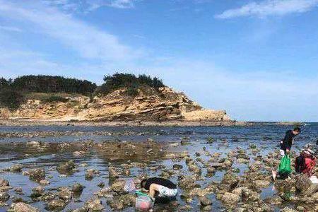 威海赶海的最佳地点8月时间
