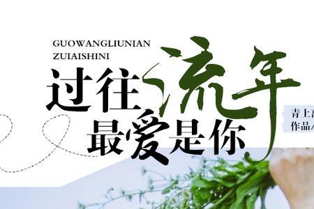 流年长短皆逝的意思