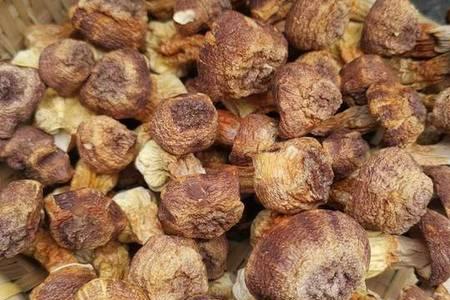 姬松茸和香菇有啥区别