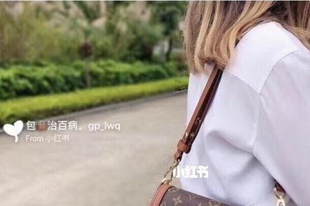 lv邮差包和达芙妮选择哪个