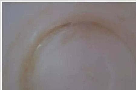 怎样去除飘逸杯滤网里的茶垢