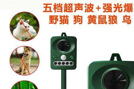 硫磺粉能驱赶黄鼠狼吗
