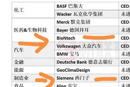德国五大巨头企业