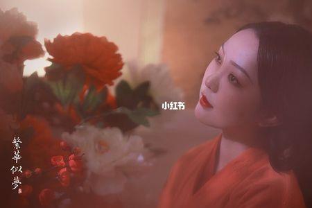 繁华似梦什么意思
