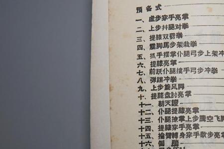 什么是咏春十一手
