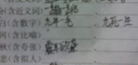 睑怎么组四字词