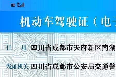 驾驶员考试中的九项都哪九项