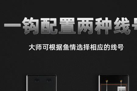 伏魔典藏版4和6号哪个好