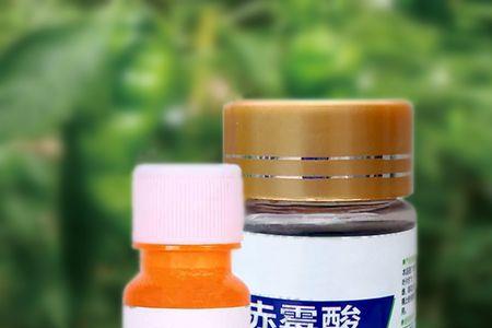赤霉素920对豆角的使用方法