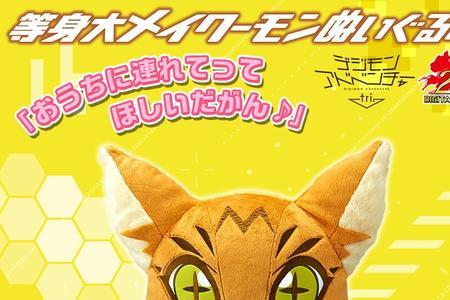 猫猫兽进化路线
