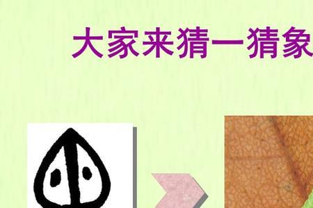 弯的象形字