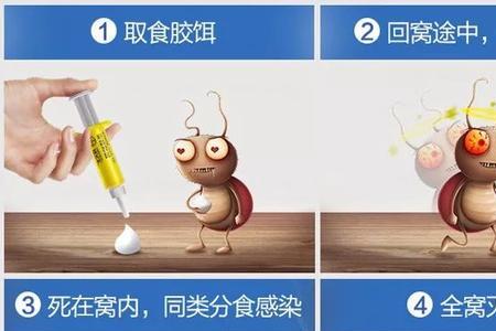 蟑螂用微波炉加热多久