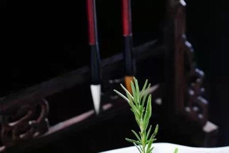 撒花花什么意思
