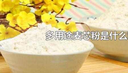 麦芯小麦粉需要发酵吗