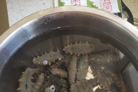 特丽素泡发海参怎样使用