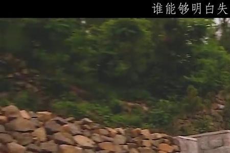 儿童版失去妈妈原唱完整版
