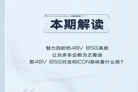 bsg是什么意思