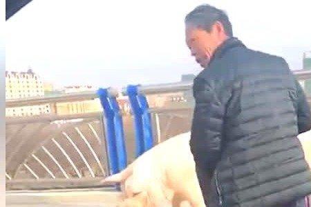 猪怕肥人怕壮下一句